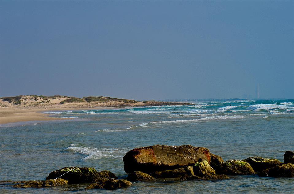 חוף הים במרחק של 3 דקות הליכה