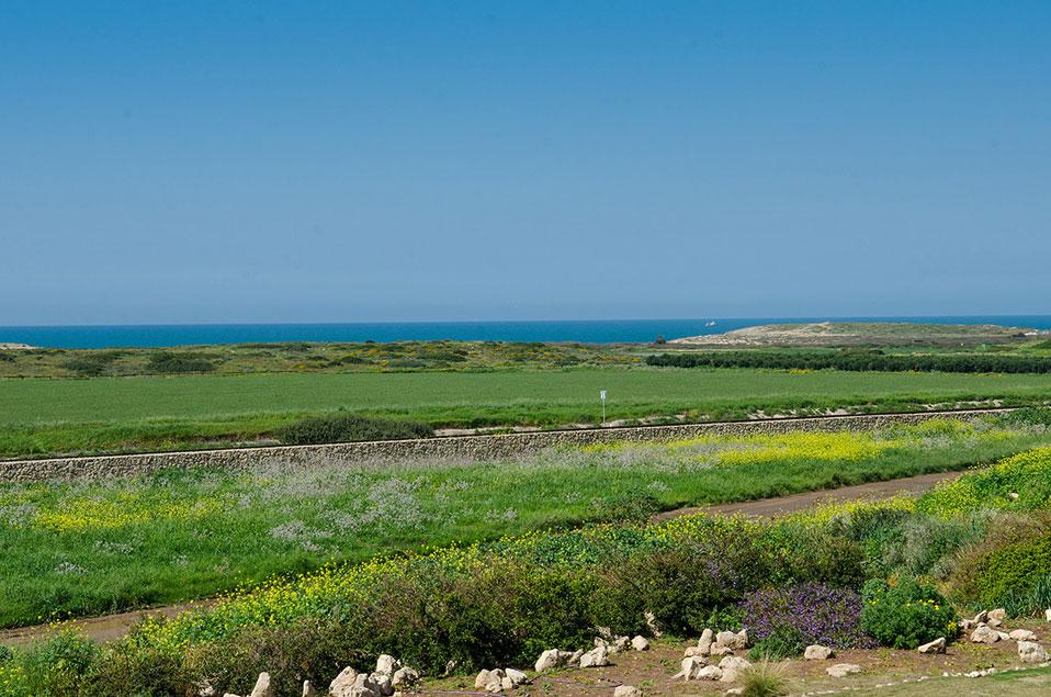 מרחבים מוריקים והים הכחול