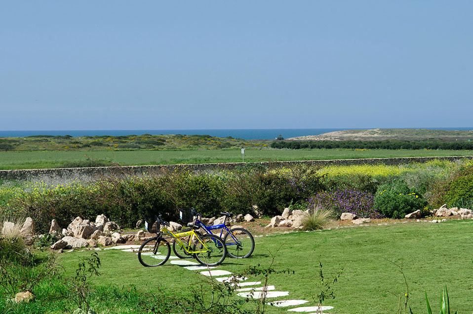 זוג אופניים לטיול בטבע